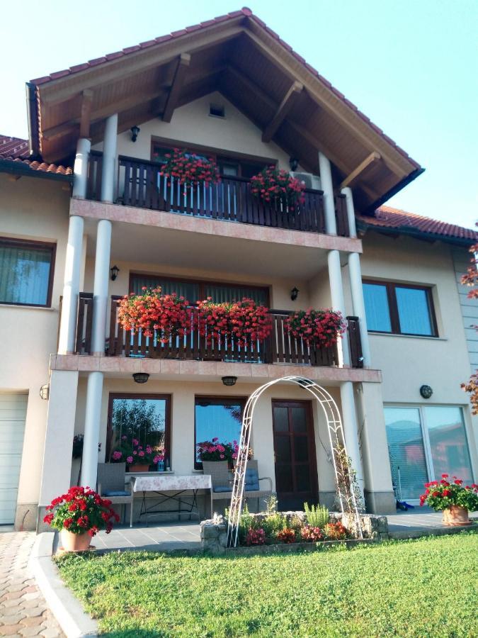 Dolenjska Vila Zuzemberk Kültér fotó