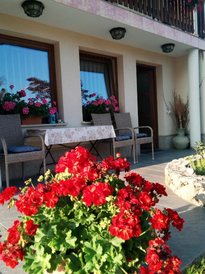 Dolenjska Vila Zuzemberk Kültér fotó